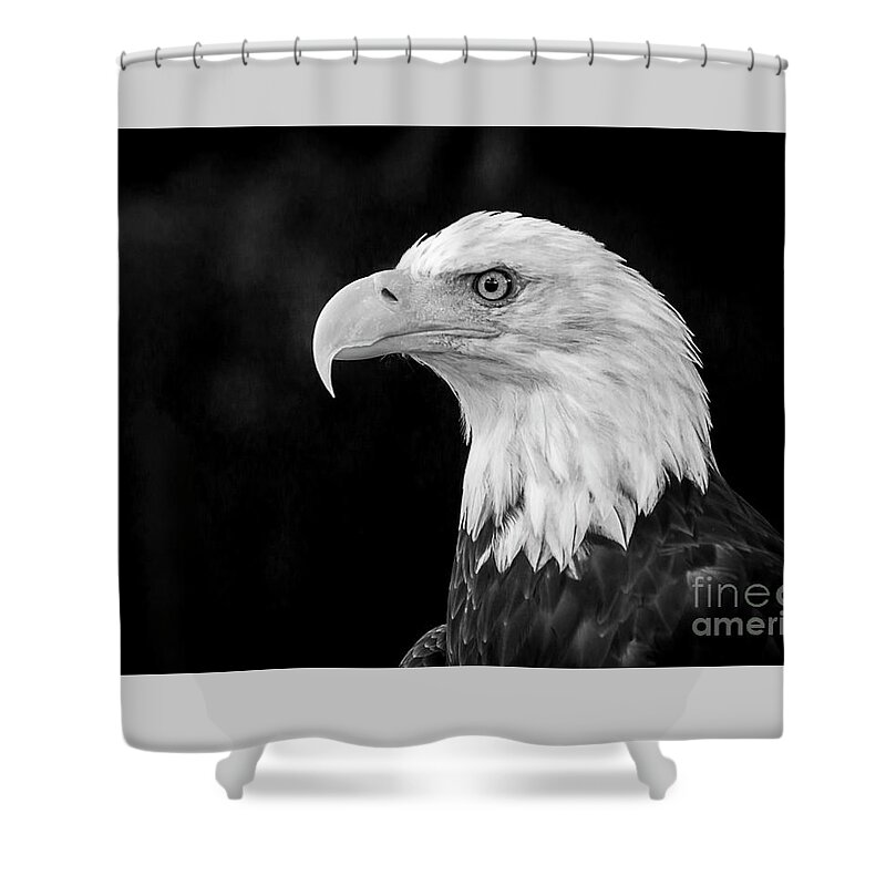 Birds Shower Curtain featuring the photograph American Bald Eagle by Sal Ahmed