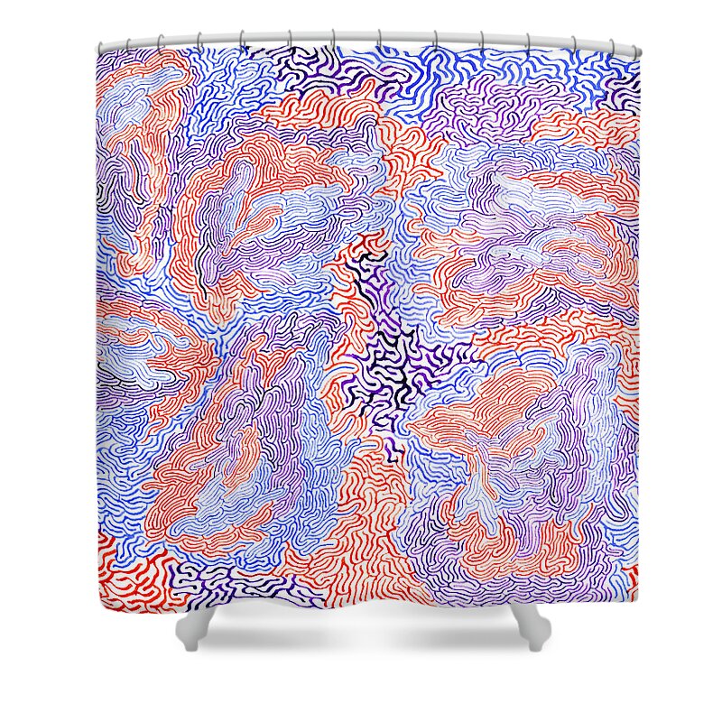 Mazes Shower Curtain featuring the drawing American Dream by Steven Natanson