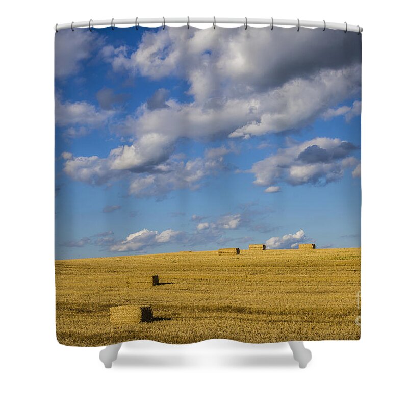 Country Shower Curtain featuring the photograph American Gold by Joann Long