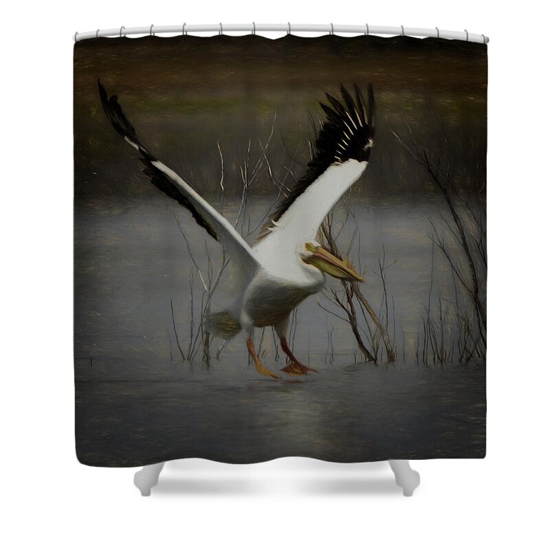 American White Pelican Shower Curtain featuring the digital art American White Pelican Da square by Ernest Echols