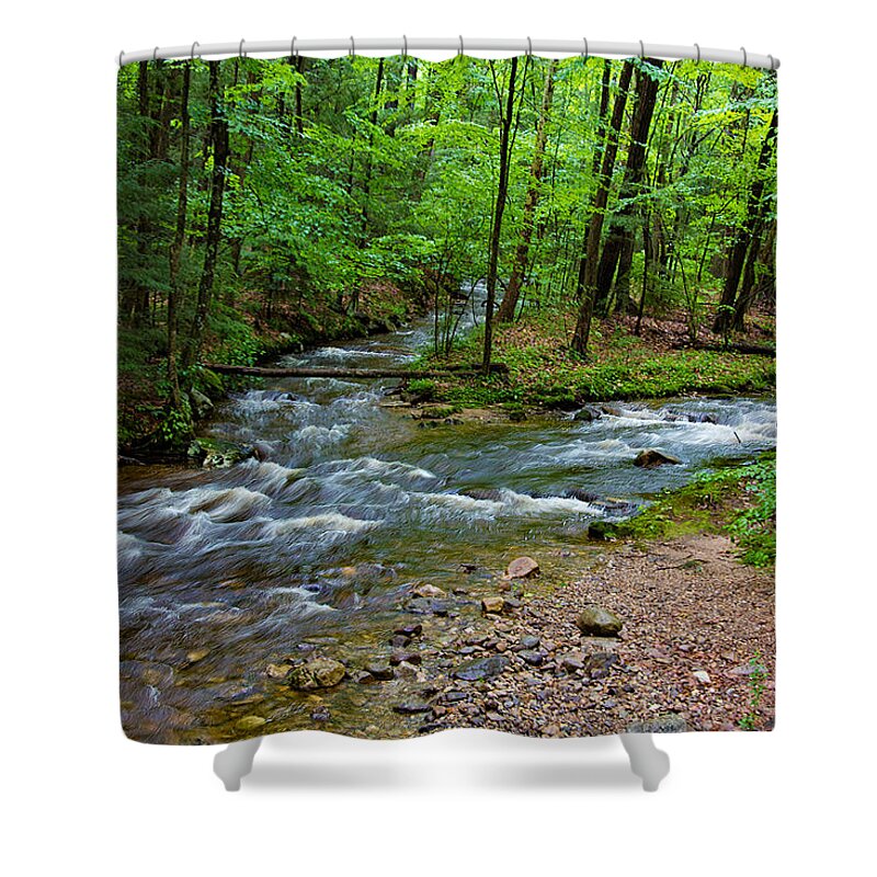 Nature Shower Curtain featuring the photograph Amethyst Brook in Amherst MA by Richard Goldman
