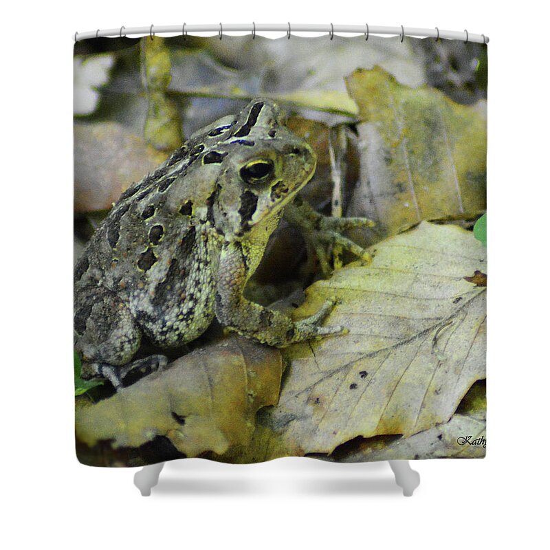 Toad Shower Curtain featuring the digital art Among the Leaves by Kathy Kelly