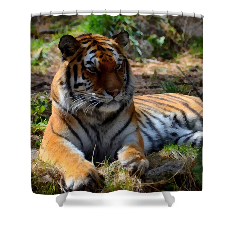 Amur Shower Curtain featuring the mixed media Amur Tiger 1 by Angelina Tamez