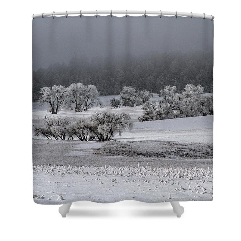 Winter Shower Curtain featuring the photograph An Affair of Cottonwoods by Alana Thrower