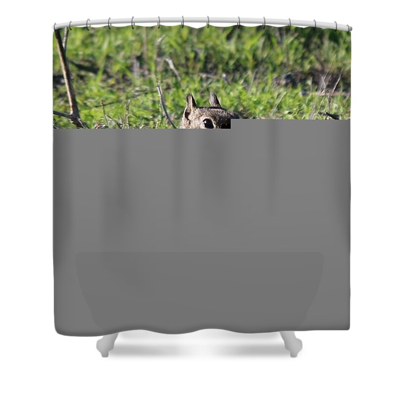 Squirrel Shower Curtain featuring the photograph An Apple A Day - 2 by Christy Pooschke