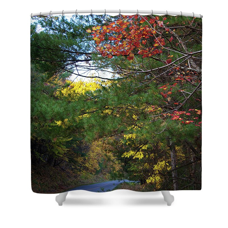 Scenic Shower Curtain featuring the photograph An Autumn Road by Skip Willits