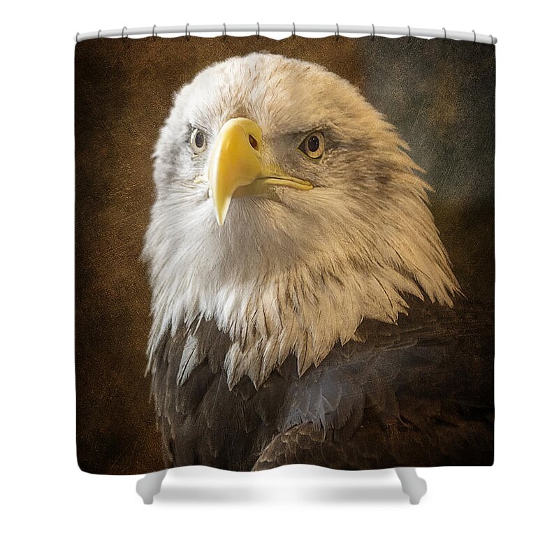 Eagle Shower Curtain featuring the photograph An Eagles Majesty by Bill and Linda Tiepelman