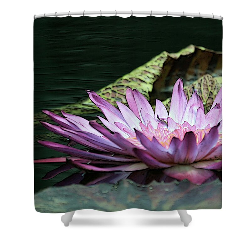 Waterlily Shower Curtain featuring the photograph An Evening Glow by Yvonne Wright