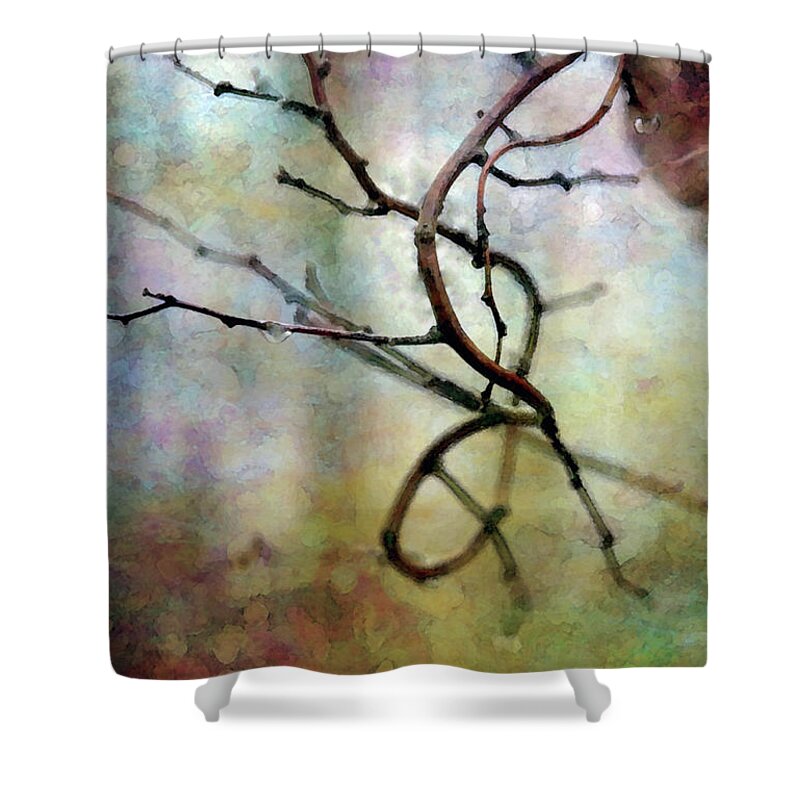 Twig Shower Curtain featuring the photograph An Interesting Path 7923 IDP_2 by Steven Ward