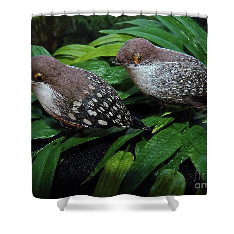 Couple Shower Curtain featuring the photograph An old couple these two birds by Eva-Maria Di Bella