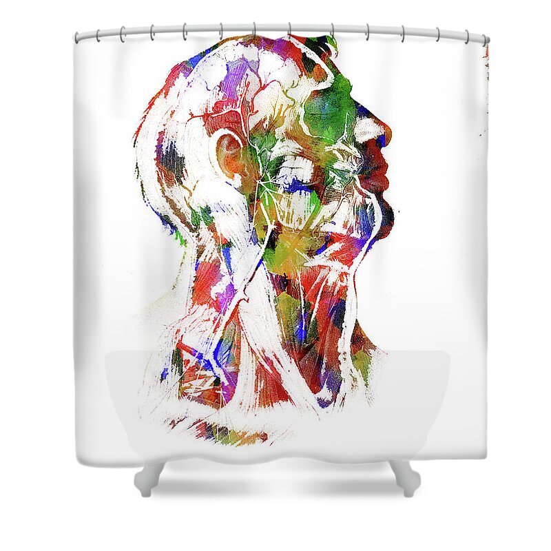 Medical Art Shower Curtain featuring the mixed media Anatomical Face by Ann Leech
