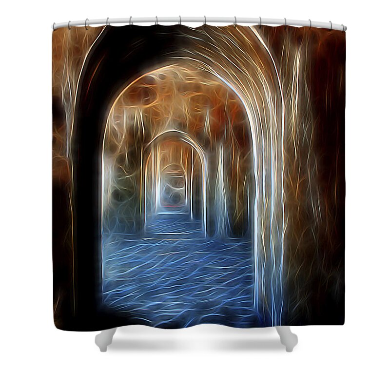 Mexico Shower Curtain featuring the digital art Ancient Doorway 5 by William Horden