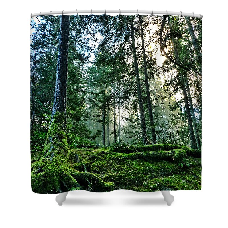 Connie Handscomb Shower Curtain featuring the photograph Ancient Spirits by Connie Handscomb