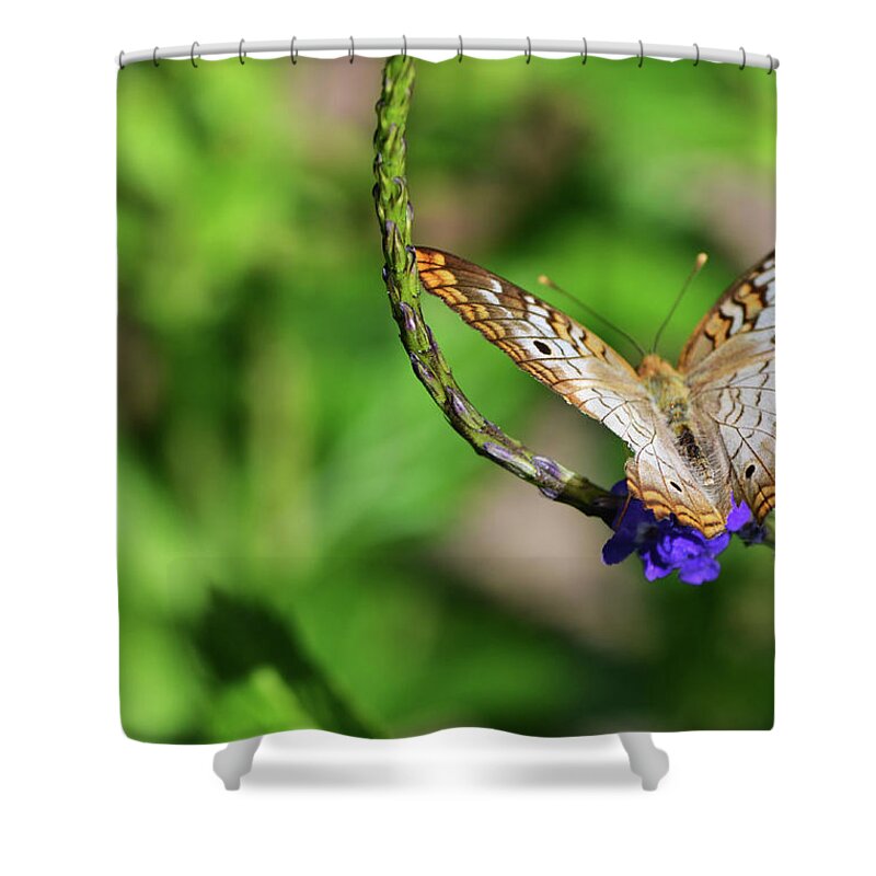White Peacock Shower Curtain featuring the photograph And Away She Goes by Melanie Moraga