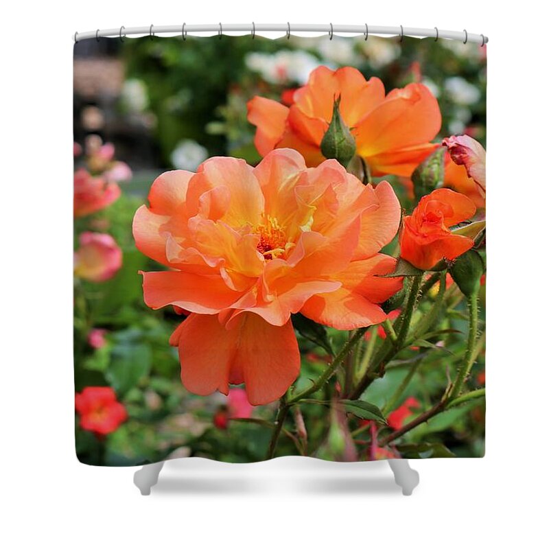 Orange Shower Curtain featuring the photograph And So It Shall Be by Michiale Schneider