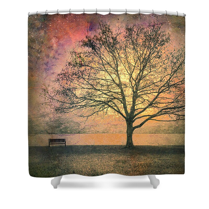 Tree Shower Curtain featuring the photograph And the Morning is Perfect in all Her Measured Wrinkles by Tara Turner