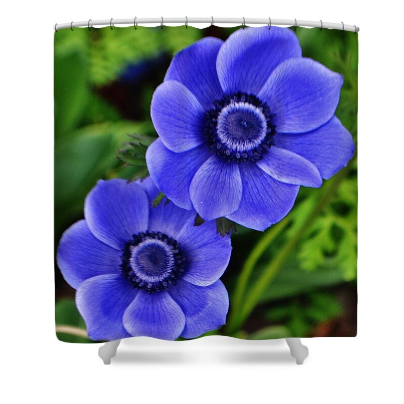Flowers Shower Curtain featuring the photograph Anemone Nemorosa by Eileen Brymer