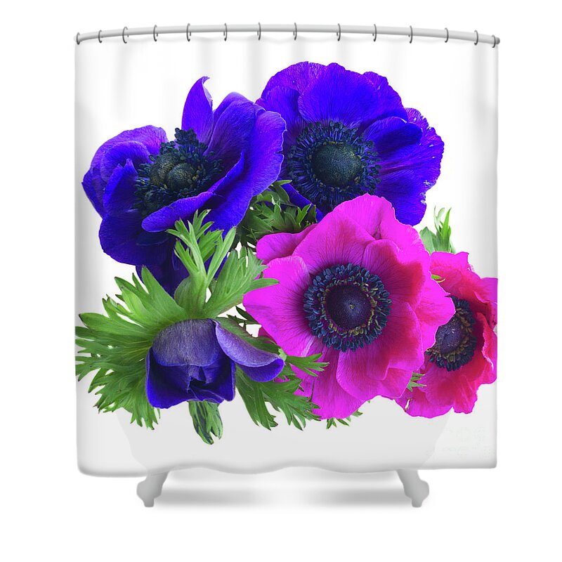 Anemone Shower Curtain featuring the photograph Anemones Posy by Anastasy Yarmolovich