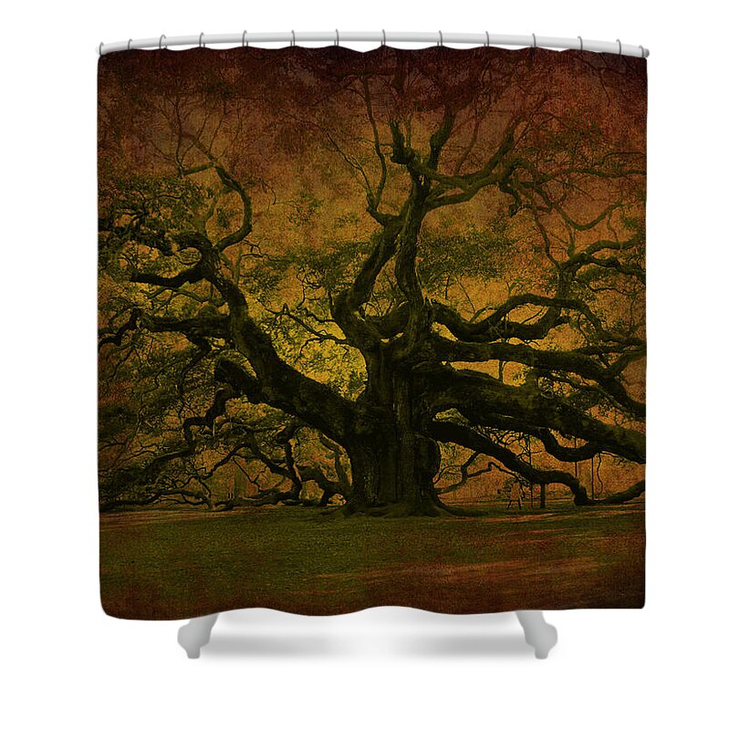 Angel Oak Shower Curtain featuring the photograph Angel Oak 3 Charleston by Susanne Van Hulst