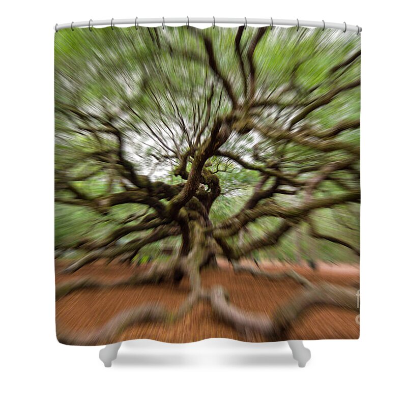 Angel Oak Tree Shower Curtain featuring the photograph Angel Oak Tree in Motion by Dale Powell