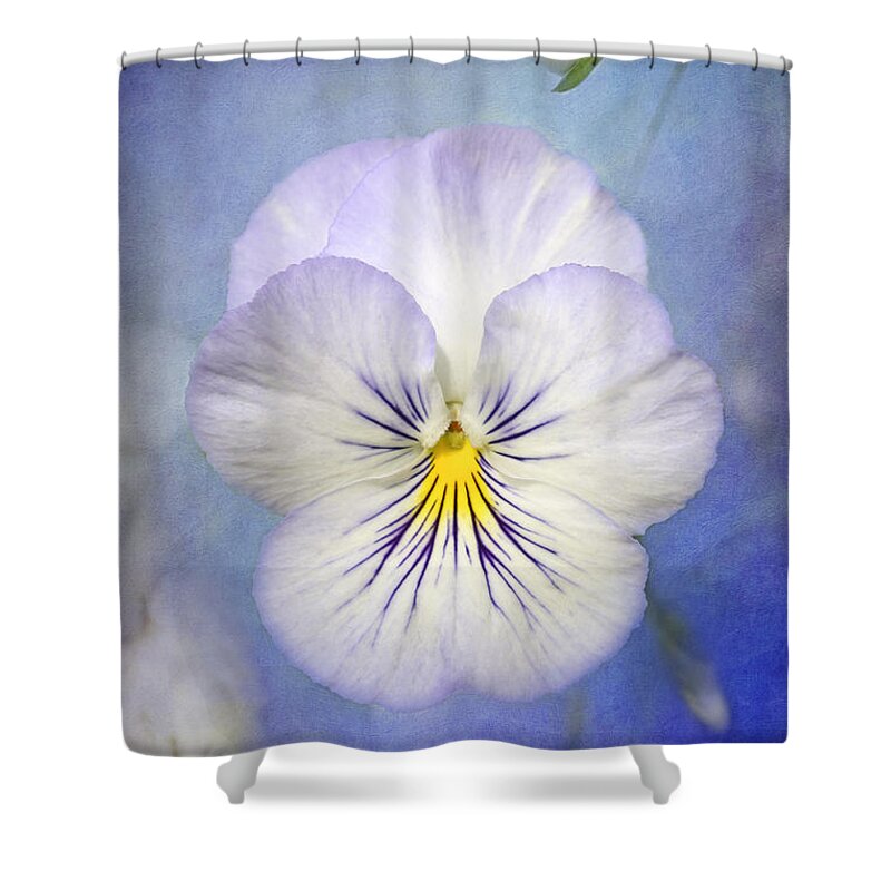 White Pancy Flower Shower Curtain featuring the photograph Angel Wings by Marina Kojukhova