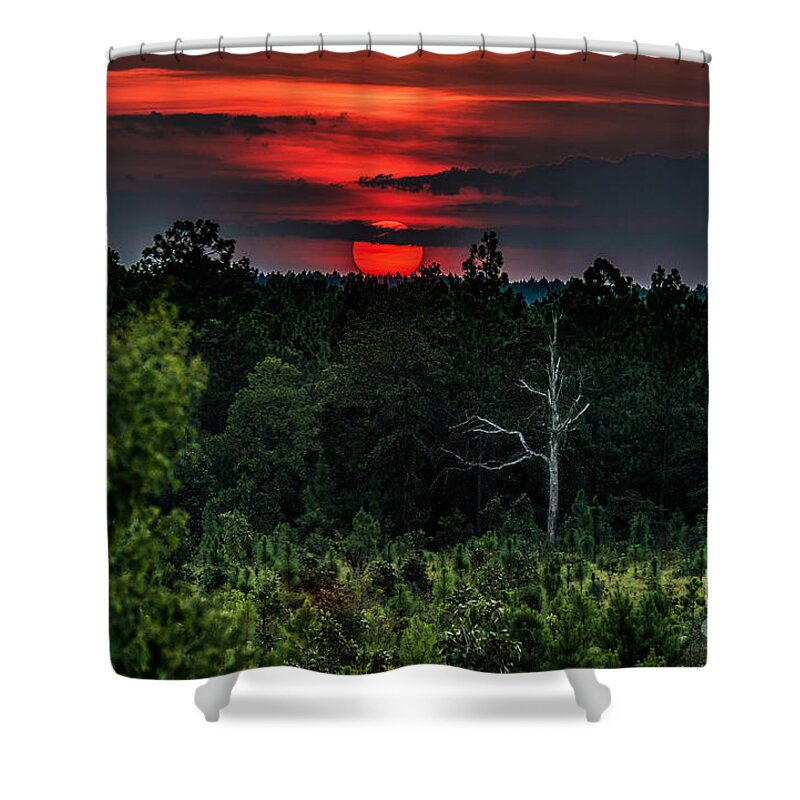Animal Shower Curtain featuring the photograph Animal Sunset by Metaphor Photo