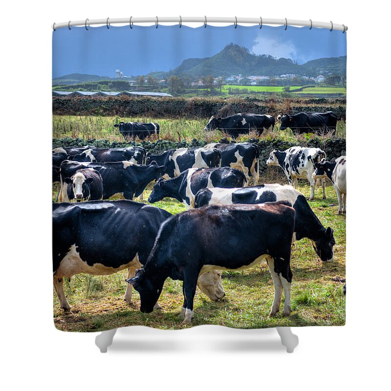 Agriculture Shower Curtain featuring the photograph Animals Livestock-02 by Joseph Amaral