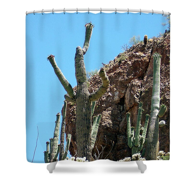 Cactus Shower Curtain featuring the photograph Animated Southwest Cactus 1 by Ilia -