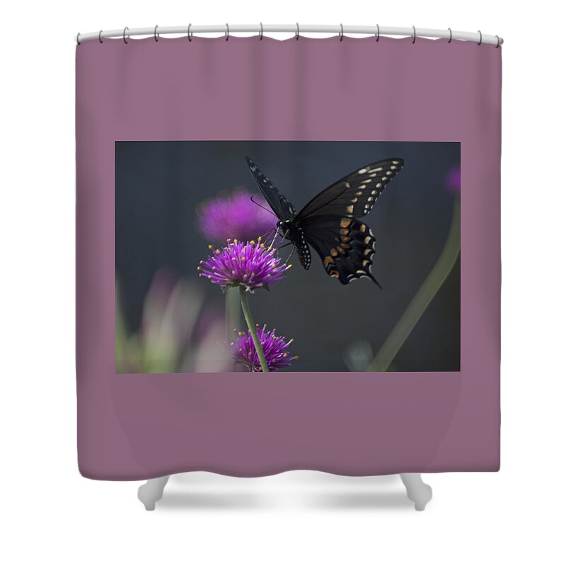 Photograph Shower Curtain featuring the photograph Another Day in Paradise Series I by Suzanne Gaff