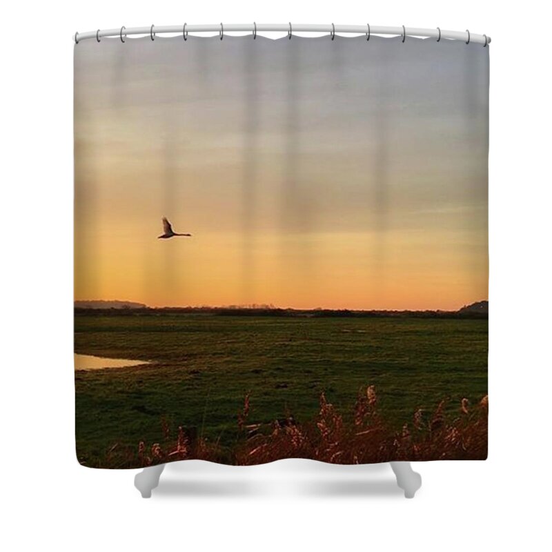 Natureonly Shower Curtain featuring the photograph Another Iphone Shot Of The Swan Flying by John Edwards