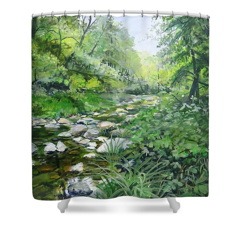 Stream Shower Curtain featuring the painting Another Look by William Brody