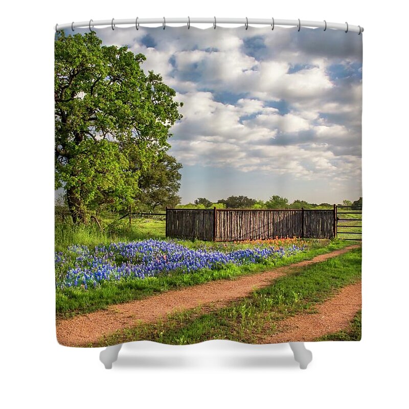 Texas Shower Curtain featuring the photograph Texas Bluebonnet Ranch Road by Harriet Feagin