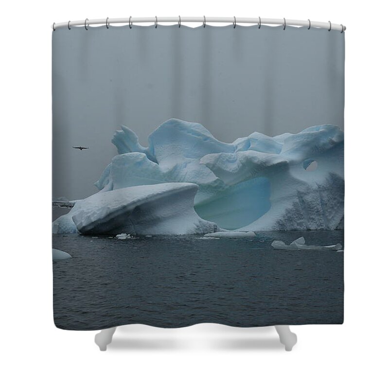 Antarctic Shower Curtain featuring the photograph Antarctic Dreamberg by Bruce J Robinson