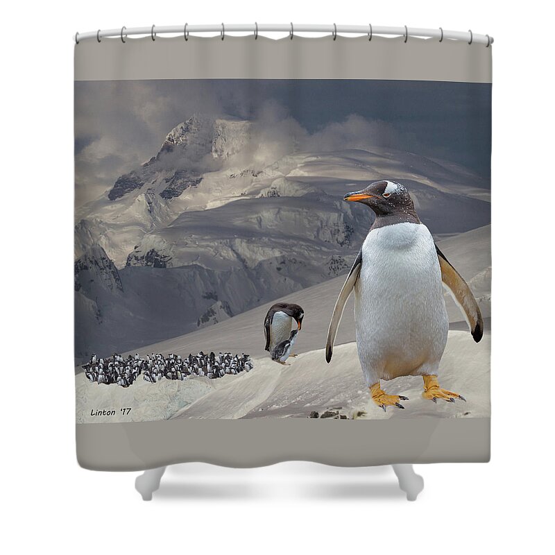 Antarctica Shower Curtain featuring the photograph Antarctic Majesty by Larry Linton