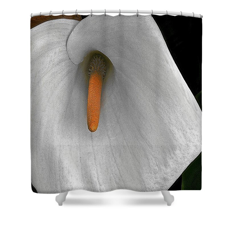 Iphone Photos Shower Curtain featuring the mixed media Anthurium by Bill Owen