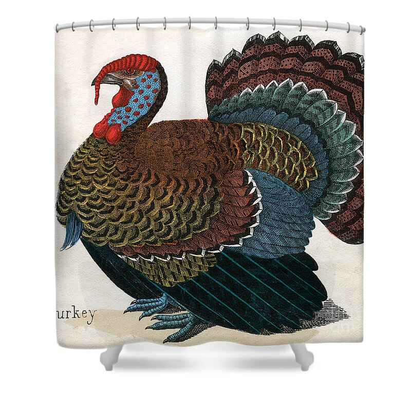 Thanksgiving Day Shower Curtains