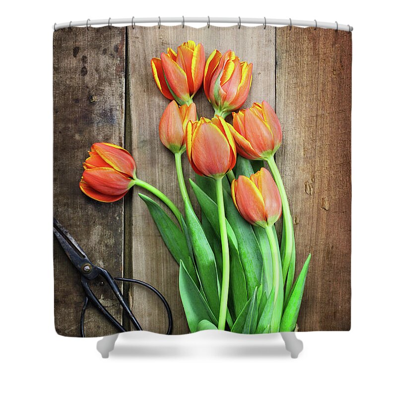 Tulips Shower Curtain featuring the photograph Antique Scissors and Bouguet of Tulips by Stephanie Frey