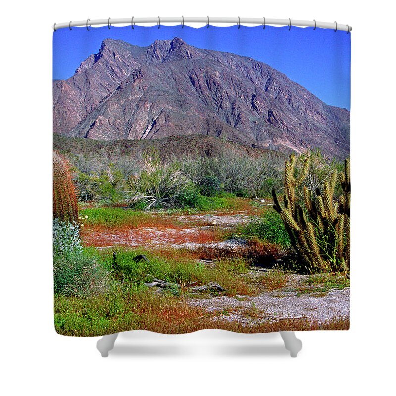 Anza-borrego Shower Curtain featuring the photograph Anza-Borrego Desert State Park CA by Gary Corbett