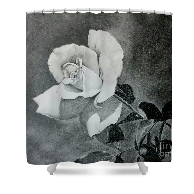 Rose Shower Curtain featuring the drawing Aperitif Rose by Terri Mills