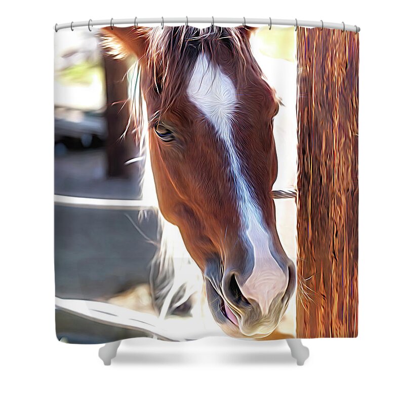  Pony Shower Curtain featuring the photograph Apollo Pony by Walter Herrit