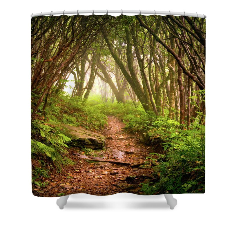 Hiking Shower Curtain featuring the photograph Appalachian Hiking Trail - Blue Ridge Mountains Forest Fog Nature Landscape by Dave Allen