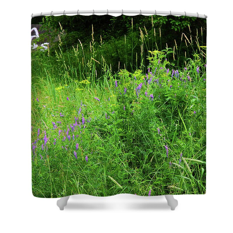 Connecticut Wildflowers Shower Curtain featuring the photograph Appalachian Trail Connecticut Wildflowers by Raymond Salani III