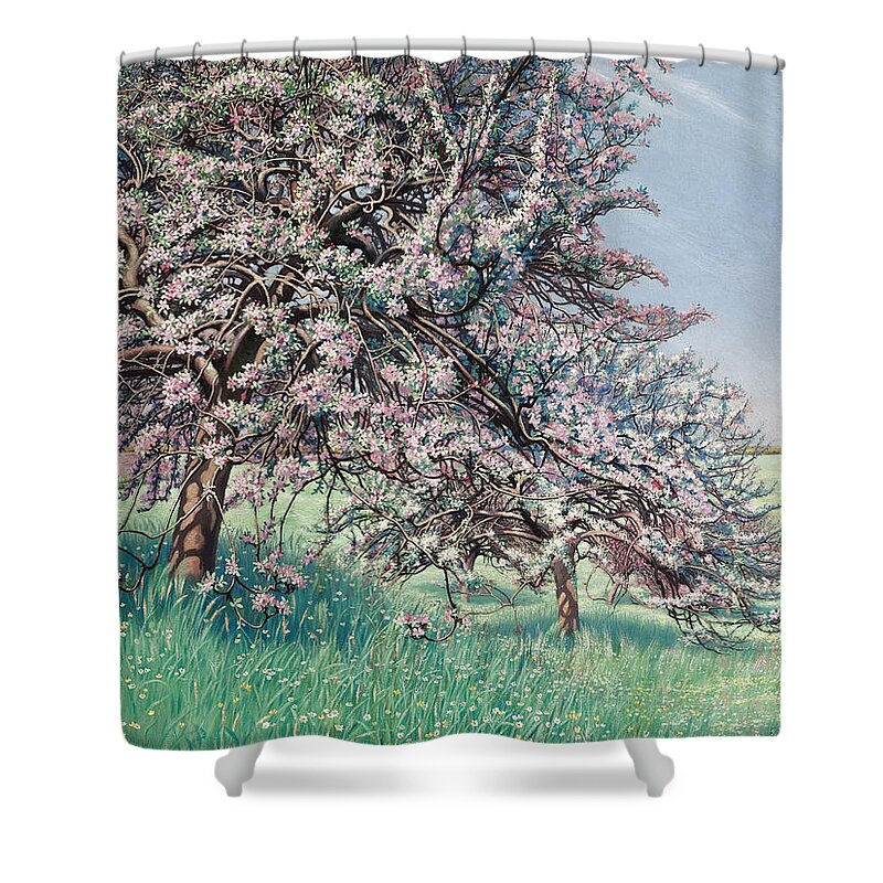 Carlos Schwabe Shower Curtain featuring the painting Apple Blossom by Carlos Schwabe