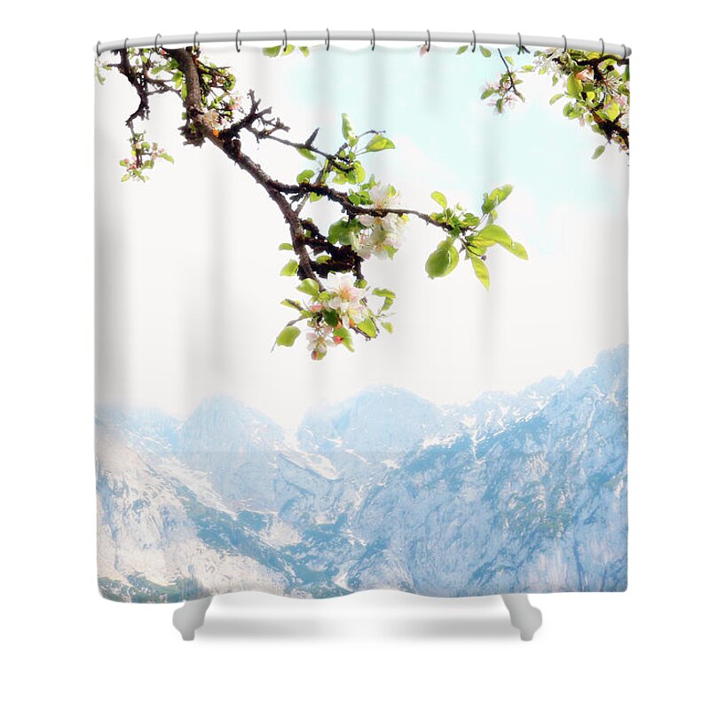 Mountains Landscape Shower Curtain featuring the photograph Apple Blossoms and Mountains by Brooke T Ryan