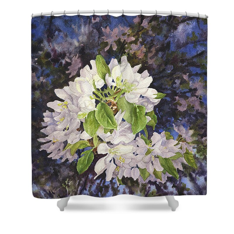Apple Blossom Painting Shower Curtain featuring the painting Apple Blossoms at Dusk by Anne Gifford