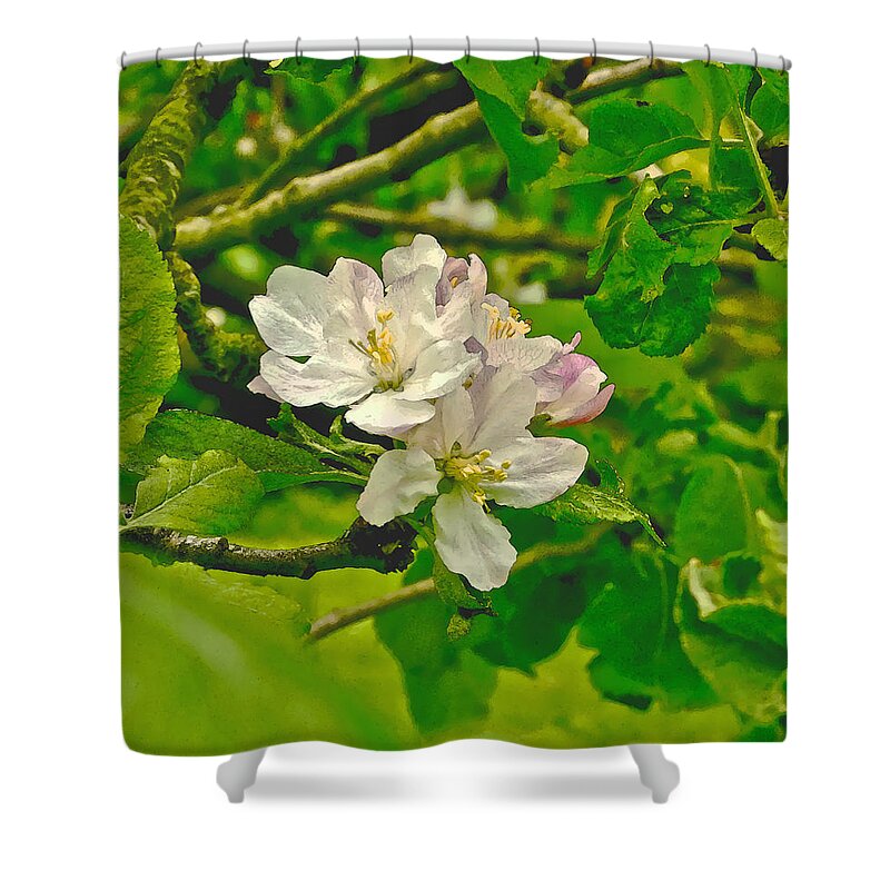 Apple Flowers Shower Curtain featuring the photograph Apple Flowers. by Elena Perelman