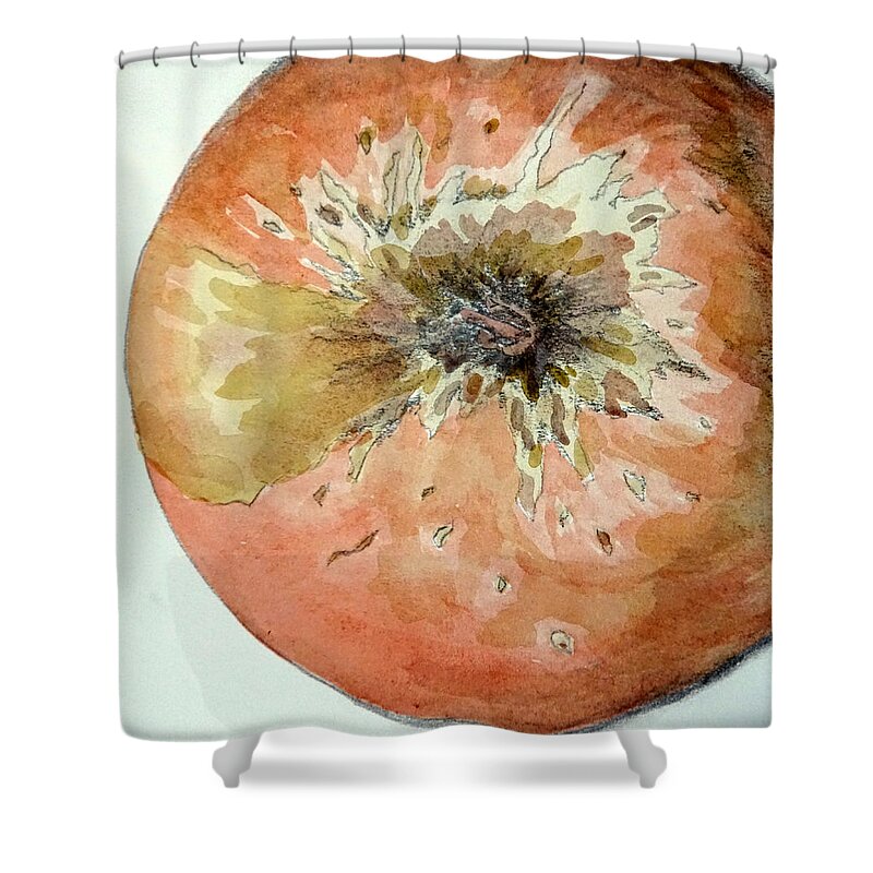 Apple Shower Curtain featuring the painting Apple by Jolly Van der Velden