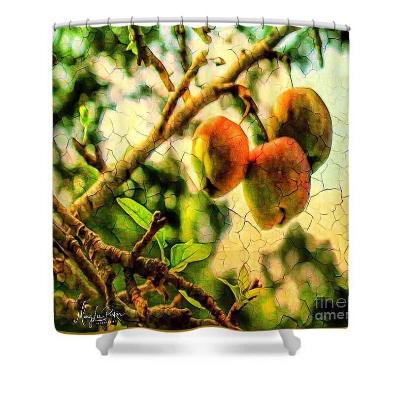 Mix Media Shower Curtain featuring the mixed media Apple Season by MaryLee Parker