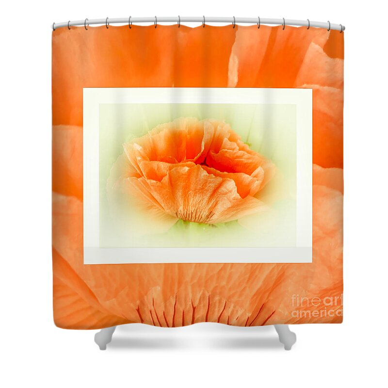 Mona Stut Shower Curtain featuring the photograph Dreamy Apricot Poppies by Mona Stut