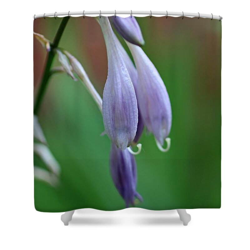 Hosta Shower Curtain featuring the photograph April Ends by Michiale Schneider